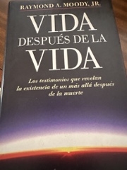 Vida después de la vida Image Cover