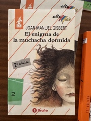 El enigma de la muchacha dormida Image Cover