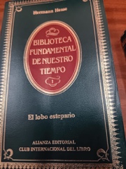 El lobo estepario Image Cover